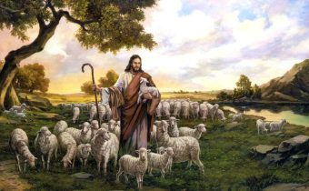 Ovce Jeho pastvy